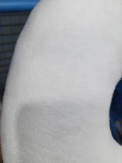 Velboa